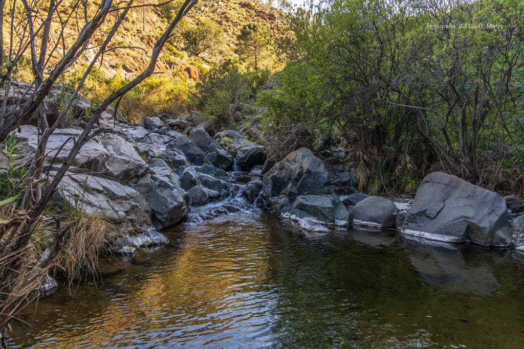 «Por si fuera poco las casas encaladas, las calles adornadas de flores, y la naturaleza radiante en plena Sierra de las Nieves, Tolox tiene un añadido más a su encanto. Desde hace tres años, se encuentran en sus calles las muestras de arte que dejan los artistas en los encuentros Art-Tolox. Nos damos una vuelta por las calles del pueblo, a encontrarnos con ese museo al aire libre, y más tarde paseamos por su entorno, para encontrarnos con ese arte natural»