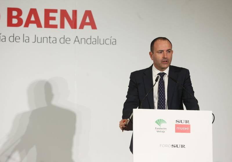 El titular andaluz de Industria y Energía participa este miércoles en un desayuno-coloquio en el hotel NH de Málaga