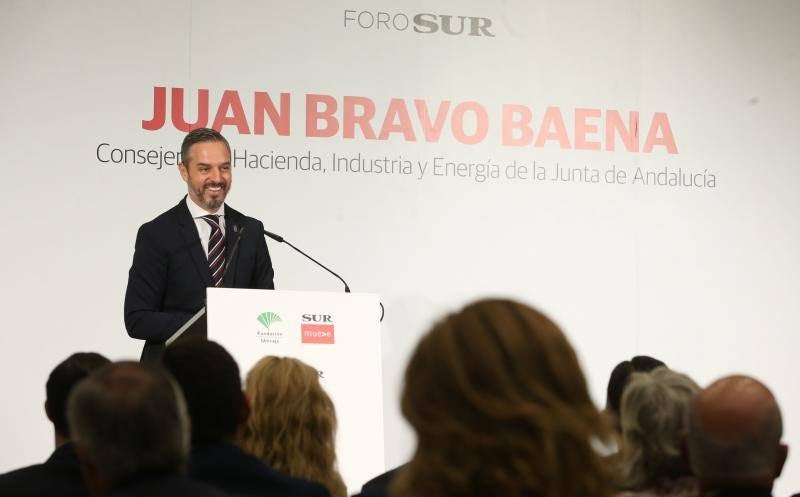 El titular andaluz de Industria y Energía participa este miércoles en un desayuno-coloquio en el hotel NH de Málaga