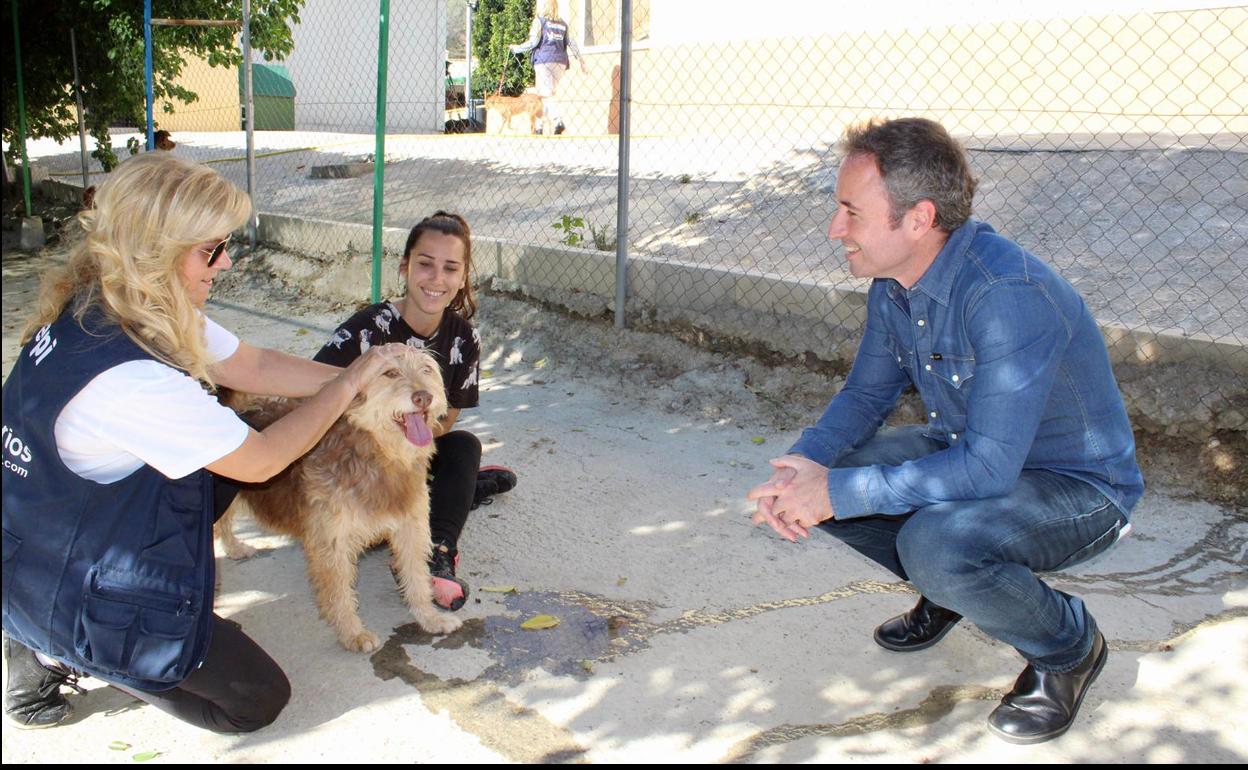 Guillermo Díaz, este miércoles, en una visita a la Protectora de Málaga. 