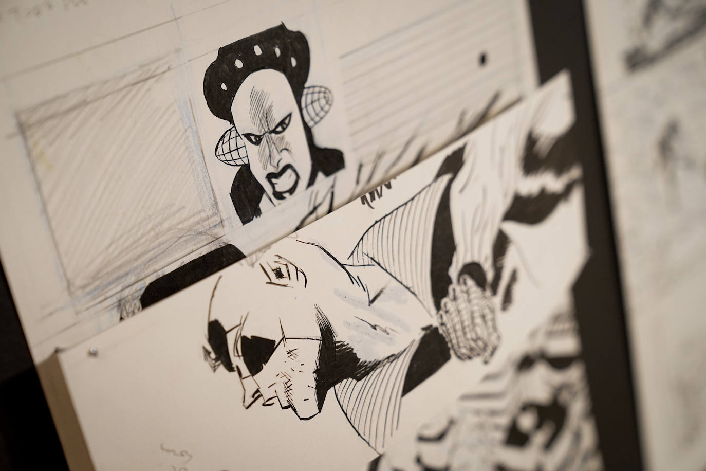 La muestra se podrá visitar hasta el 13 de diciembre en el campus de El Ejido 