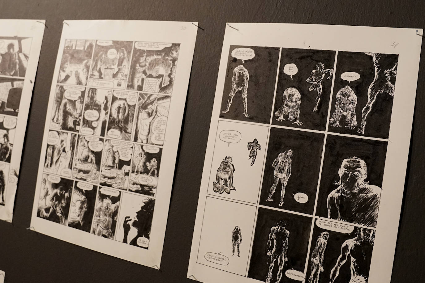 La muestra se podrá visitar hasta el 13 de diciembre en el campus de El Ejido 