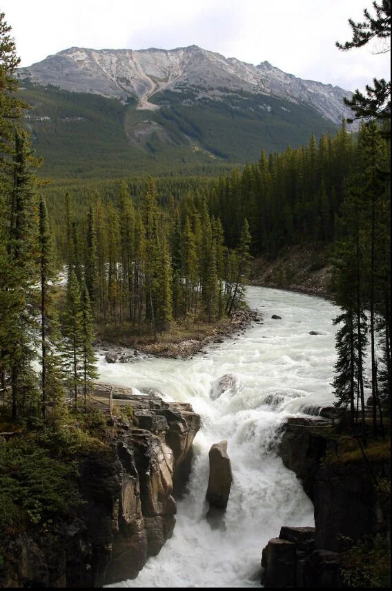 Sunwapta Falls, en el Parque Nacional Jasper, en Alberta (Canadá). Están situadas en el río que lleva el mismo nombre y se 'alimentan', en gran parte, del agua que se derrite del glaciar Athabasca.