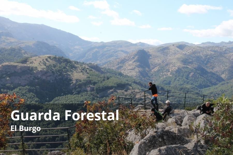 El valle del río Turón es uno de los enclaves más espectaculares de Andalucía. Adquiere especial belleza en el término municipal de El Burgo, que tiene enclaves ribereños que parecen sacados de una postal. Para tener una perspectiva más amplia de todo este paisaje se puede ir en vehículo hasta el mirador del Guarda Forestal, situado en una zona elevada en el puerto del Viento, en la carretera que une a Ronda y El Burgo. Desde este balcón natural, que es un homenaje a los que llevan muchas décadas vigilando y protegiendo los distintos espacios protegidos de la provincia, se puede apreciar con nitidez las principales cimas de la Sierra de las Nieves, el propio valle del Turón, la sierra Hidalga o el puerto de Lifa. Aunque no hay una gran ruta importante que pase por allí, sí que hay varias del pueblo de El Burgo que están en el entorno. Además, hay un breve sendero empedrado de recorrido circular que se hay que ralizar para disfrutar de las vistas. 