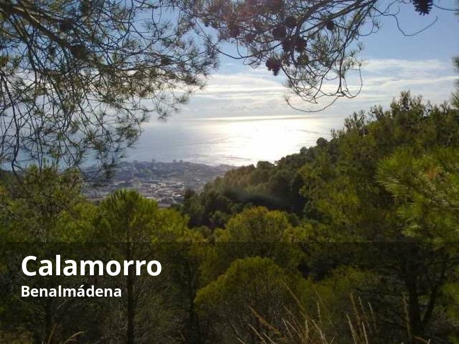 Para ver la costa benalmadense con perspectiva también hay una opción en las estribaciones de la Sierra de Mijas. Se trata de la cima del Monte Calamorro, situada a unos 800 metros sobre el nivel del mar. Aunque hay varios senderos que conducen hasta allí -entre ellos dos etapas de la Gran Senda de Málaga-, lo más cómodo es acceder a este enclave a través del Teleférico de Benalmádena. Allí, además de vistas espectaculares, aguarda una completa oferta de ocio, un jardín de vegetación mediterránea y una pequeña red de caminos para disfrutar paseando desde esta cota tan elevada.