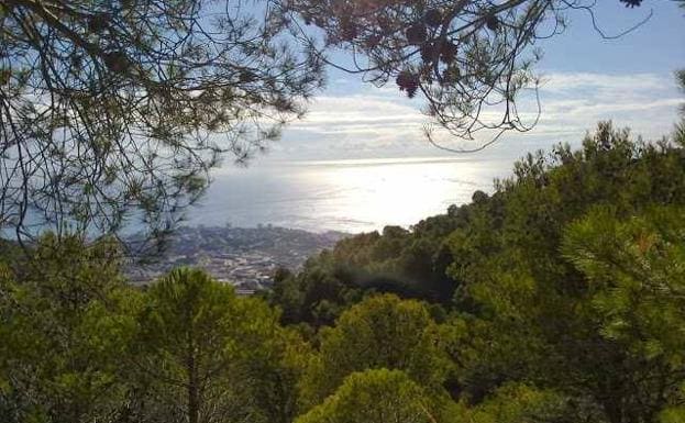 Desde el cerro Calamorro se ve el litoral benalmadense.