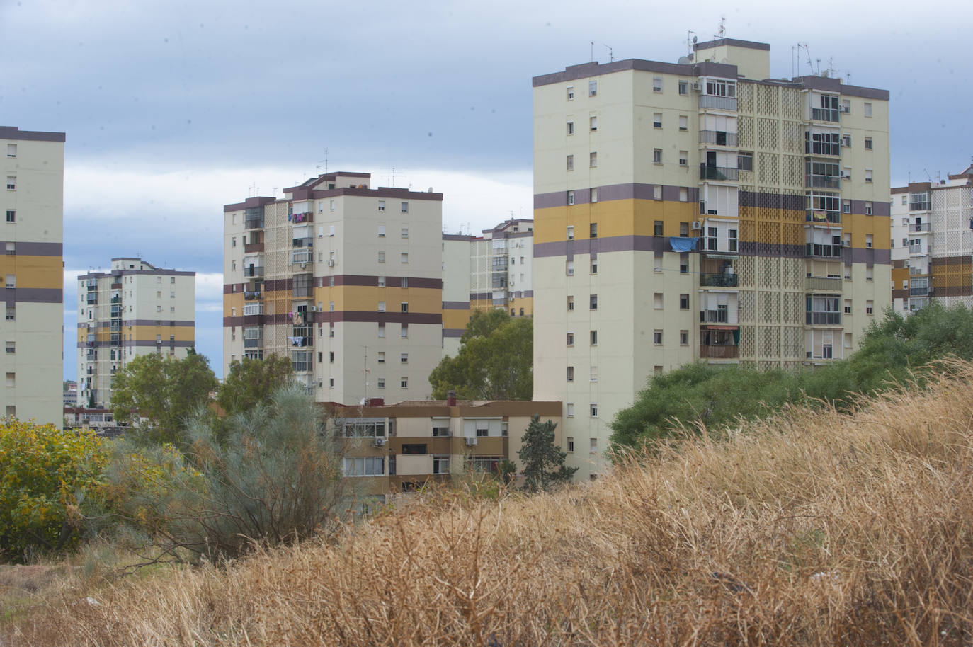 Uno de cada cinco papeletas han ido para Santiago Abascal en Palma-Palmilla en Málaga