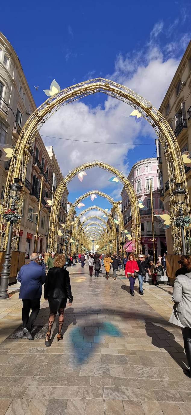 El bosque navideño en el que se convertirá este año la céntrica vía malagueña ya se encuentra casi listo. Aunque aún habrá que esperar al próximo 29 de noviembre para verlo iluminado.