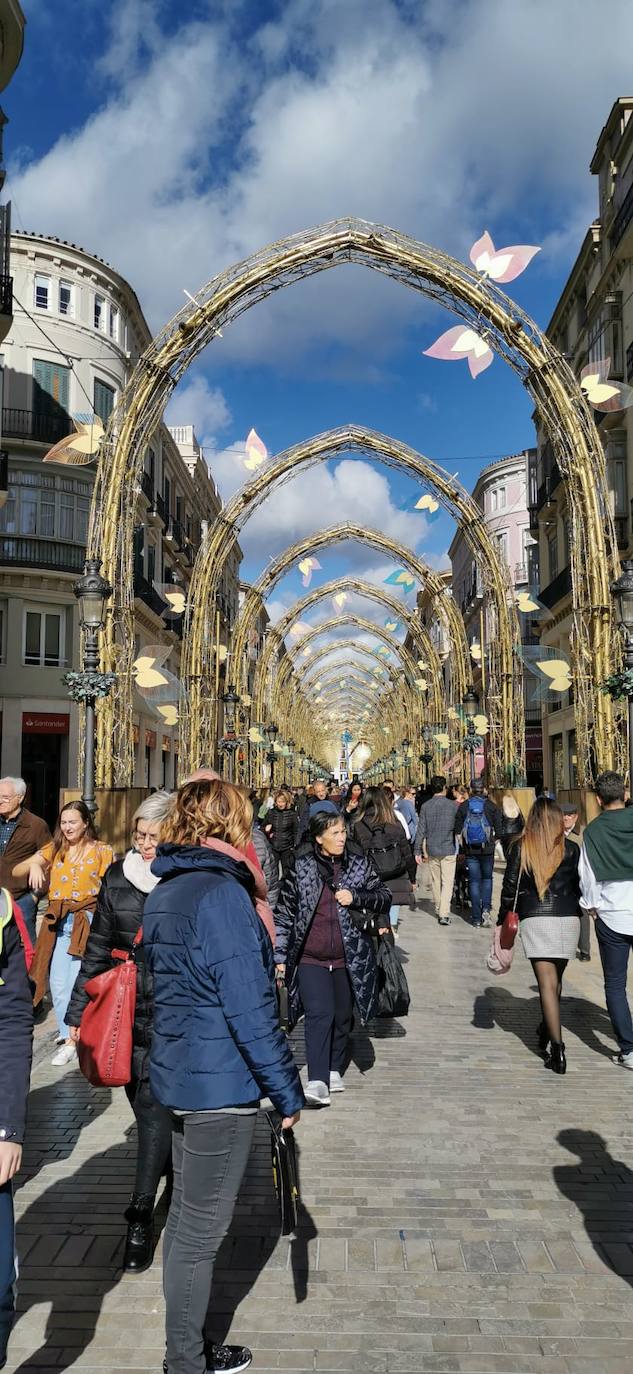 El bosque navideño en el que se convertirá este año la céntrica vía malagueña ya se encuentra casi listo. Aunque aún habrá que esperar al próximo 29 de noviembre para verlo iluminado.