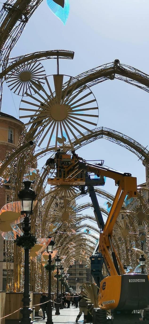 El bosque navideño en el que se convertirá este año la céntrica vía malagueña ya se encuentra casi listo. Aunque aún habrá que esperar al próximo 29 de noviembre para verlo iluminado.