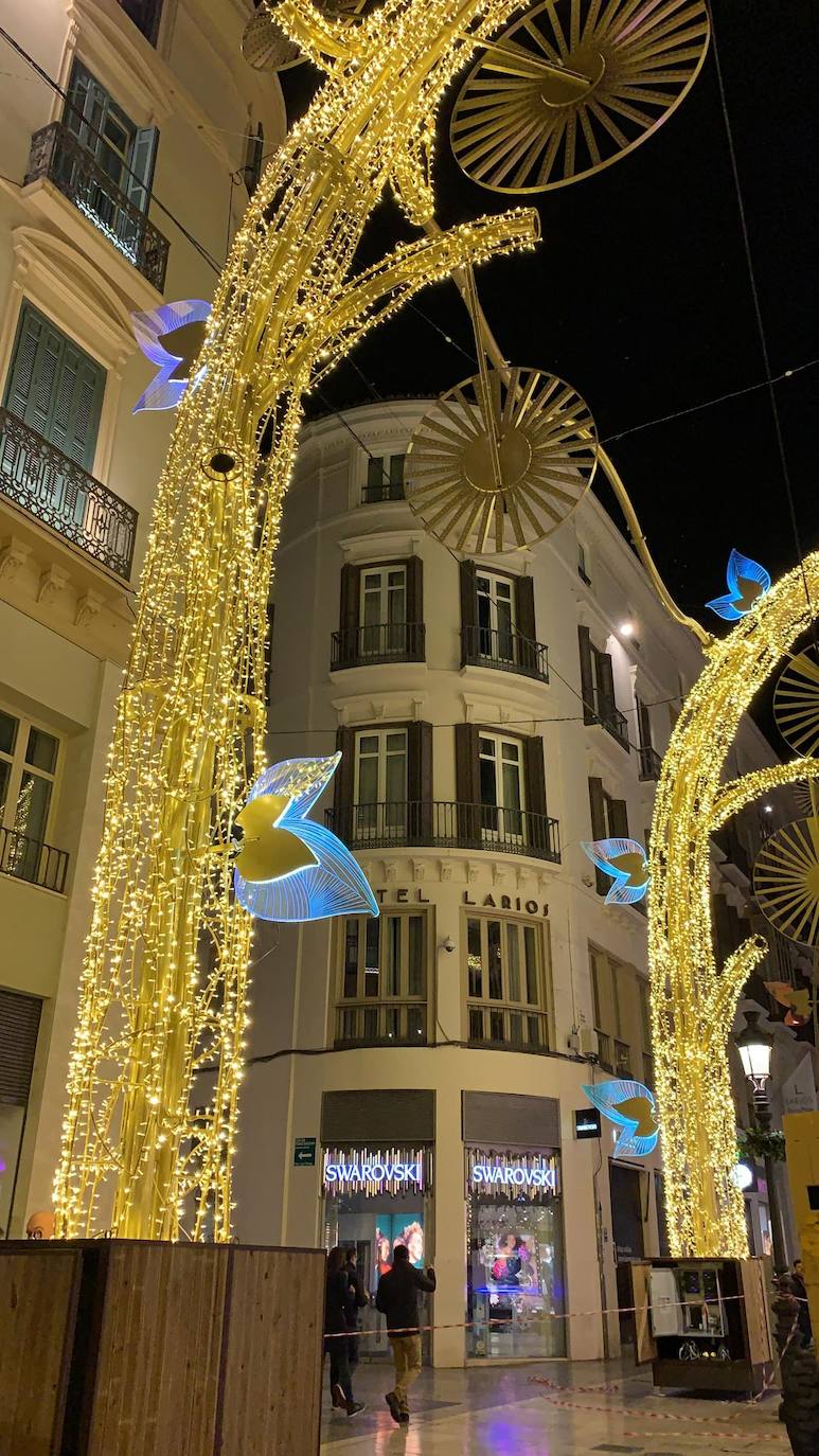 El bosque navideño en el que se convertirá este año la céntrica vía malagueña ya se encuentra casi listo. Aunque aún habrá que esperar al próximo 29 de noviembre para verlo iluminado.