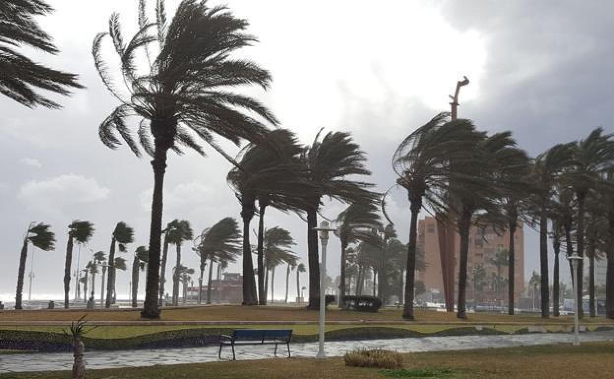 Se mantiene el aviso amarillo por viento en Málaga