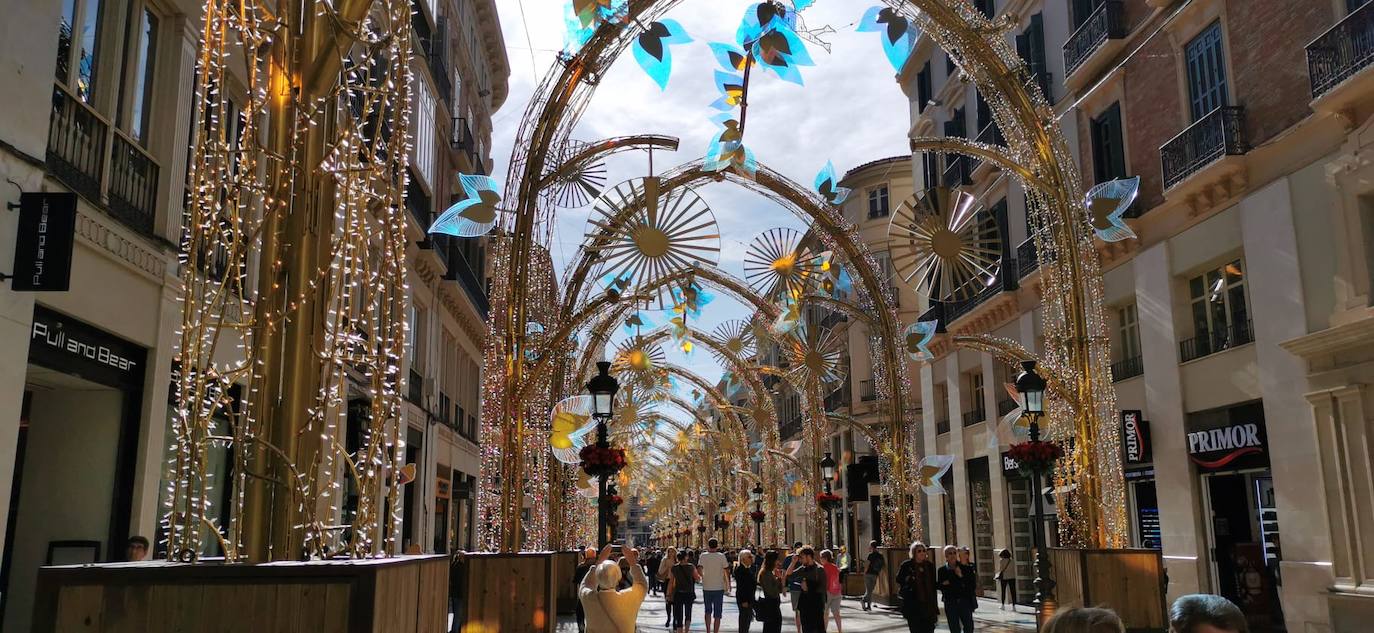 El bosque navideño en el que se convertirá este año la céntrica vía malagueña se encuentra ya listo. Aunque aún habrá que esperar hasta este 29 de noviembre para verlo iluminado.