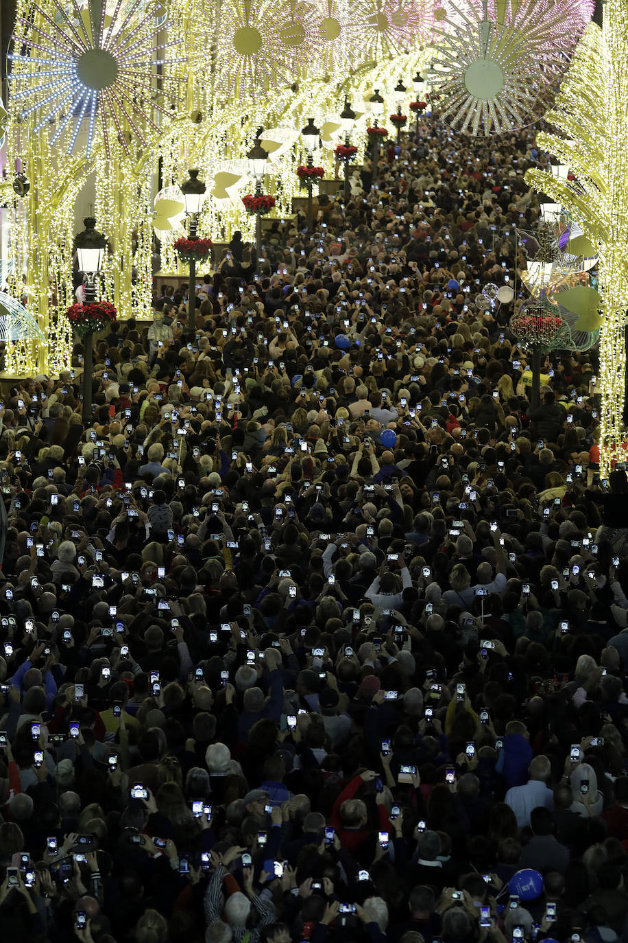 Durante los 40 días que duren los fastos navideños, la calle Larios se transformará en un bosque lleno de hojas y soles