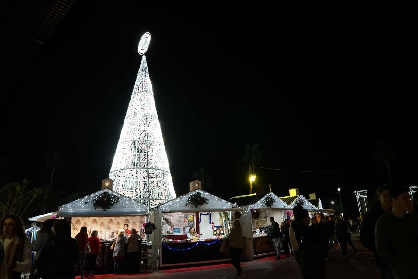 Durante los 40 días que duren los fastos navideños, la calle Larios se transformará en un bosque lleno de hojas y soles