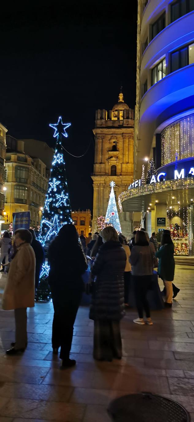 Durante los 40 días que duren los fastos navideños, la calle Larios se transformará en un bosque lleno de hojas y soles