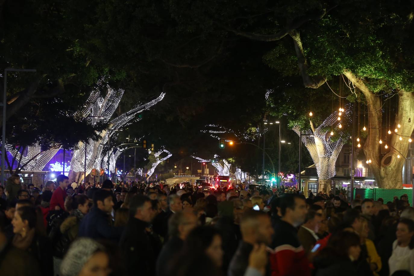 Durante los 40 días que duren los fastos navideños, la calle Larios se transformará en un bosque lleno de hojas y soles