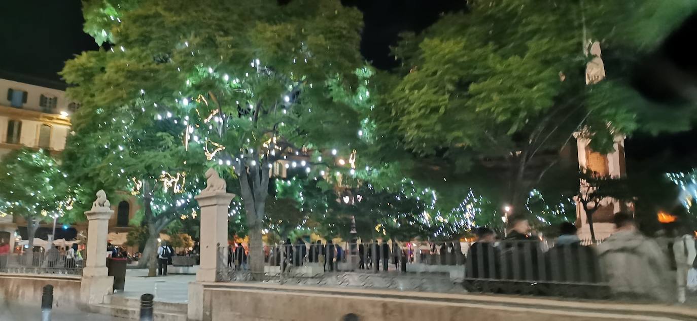 Durante los 40 días que duren los fastos navideños, la calle Larios se transformará en un bosque lleno de hojas y soles