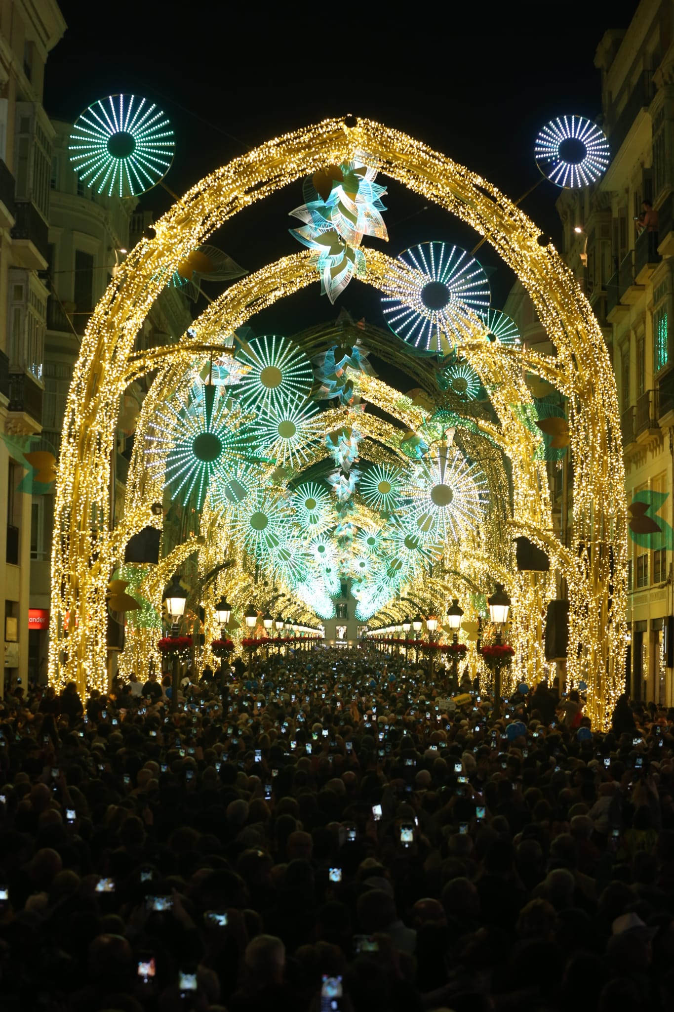 Durante los 40 días que duren los fastos navideños, la calle Larios se transformará en un bosque lleno de hojas y soles