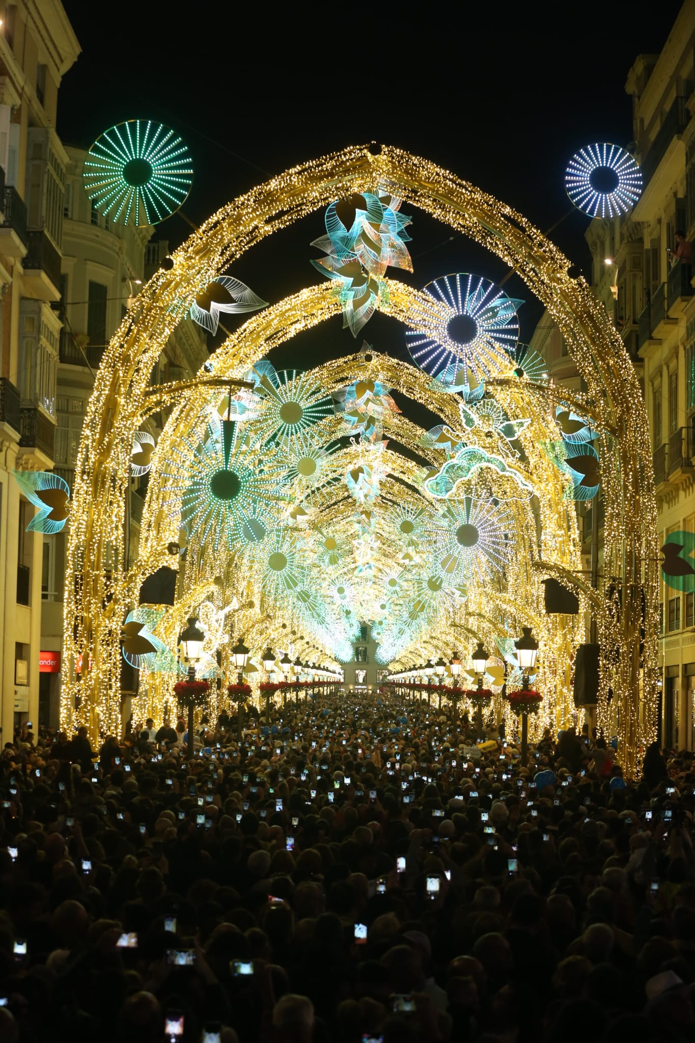 Durante los 40 días que duren los fastos navideños, la calle Larios se transformará en un bosque lleno de hojas y soles