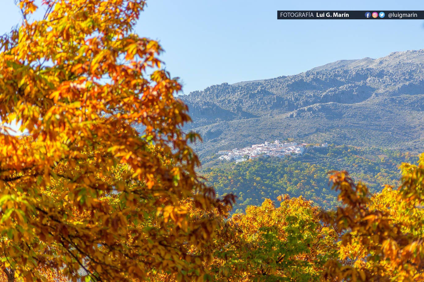 Los tonos ocres, cobrizos y dorados se apoderan, durante estos días de otoño, de los castaños