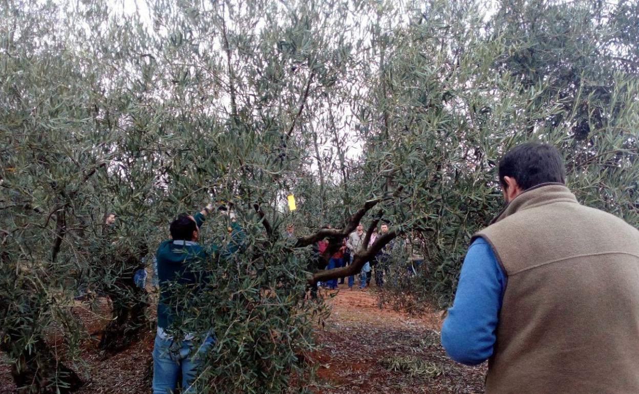 La aplicación ha sido probada con éxito en campo.