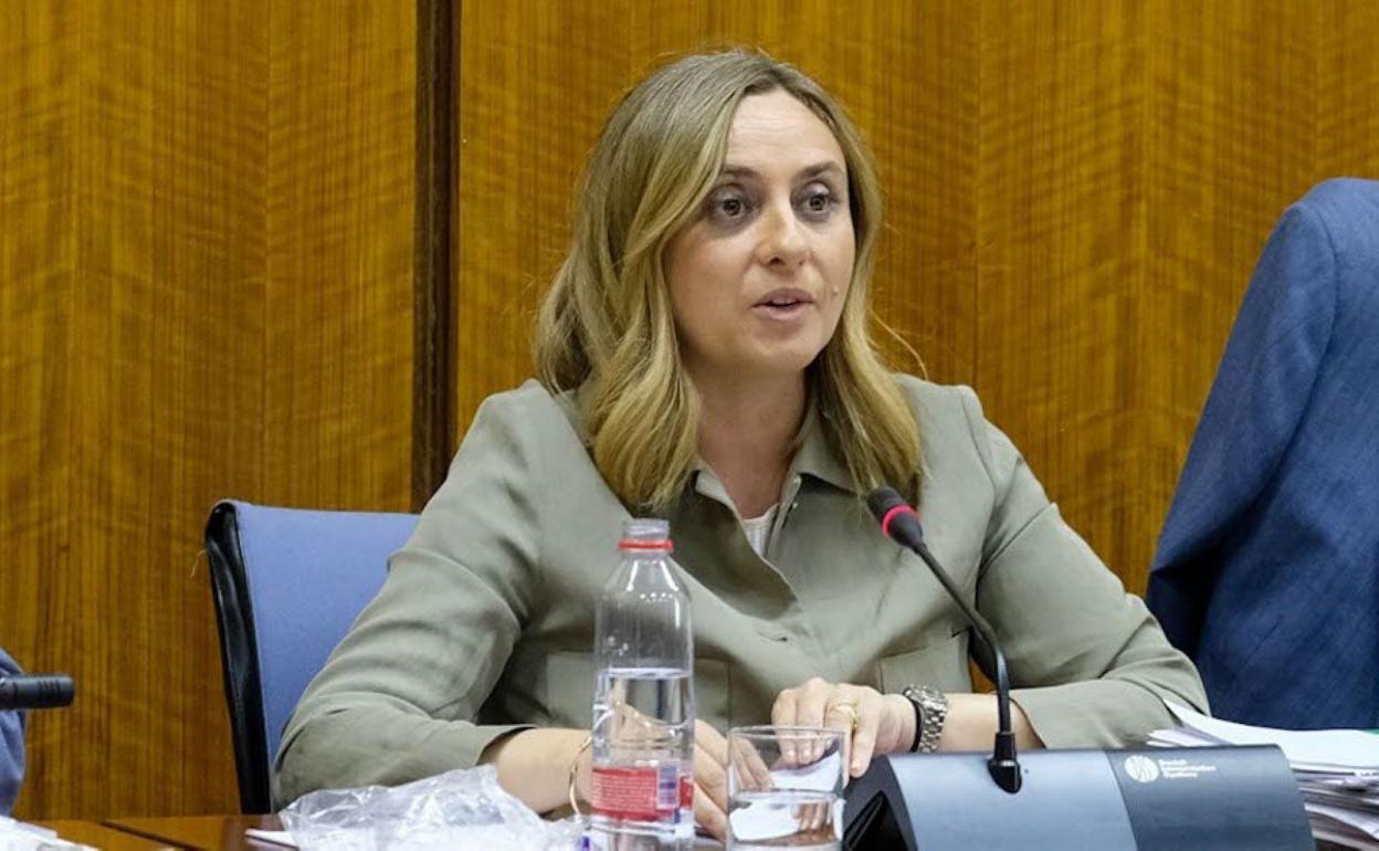 La consejera de Fomento, Marifrán Carazo, en el Parlamento. 