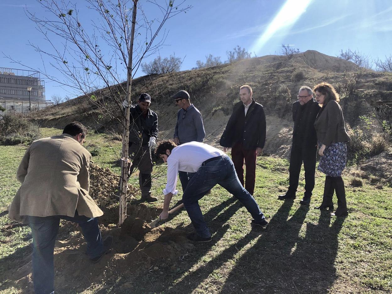 Métrica6 celebra su sexto aniversario con una plantación de arboles en la Ampliación