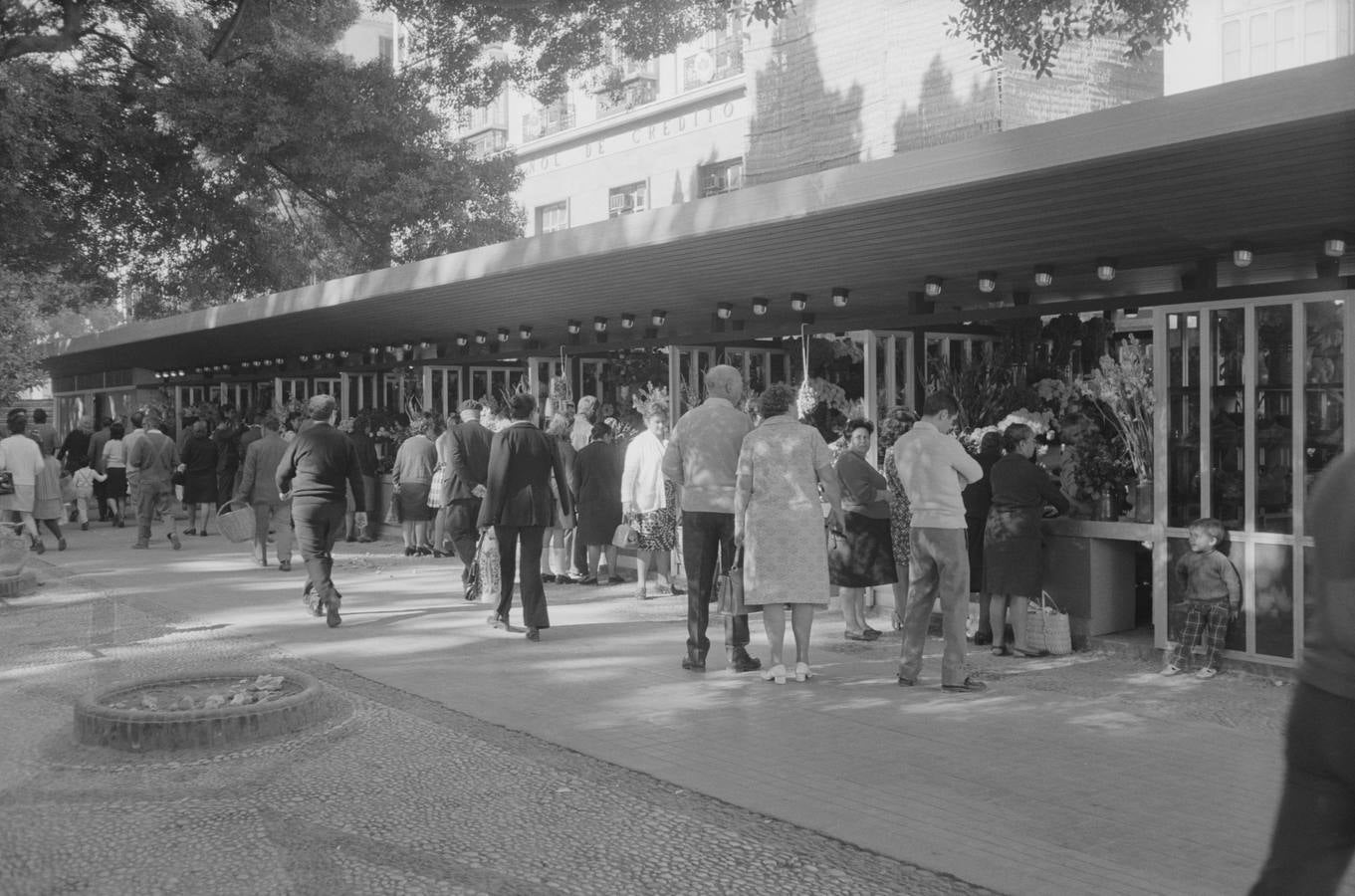 Alameda, nuevos puestos de venta de flores. Noviembre, 1972.