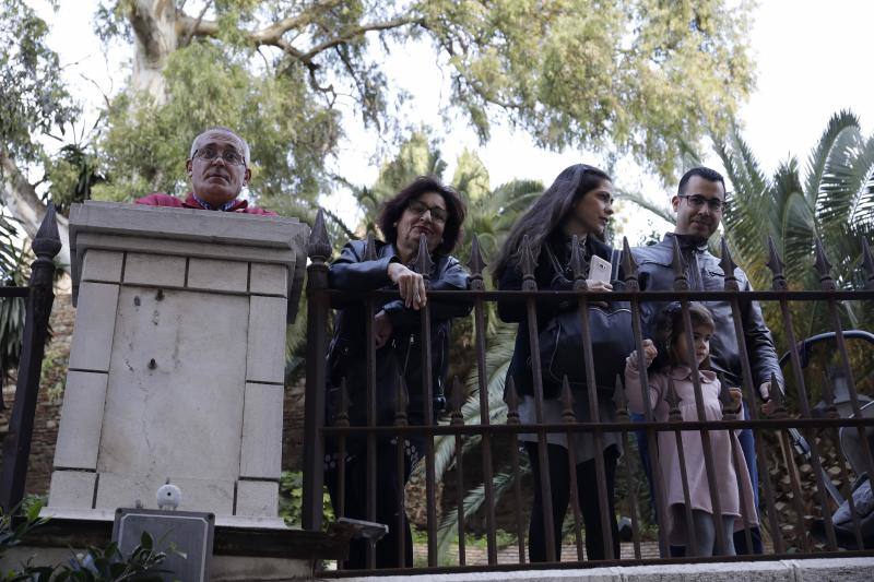 Asistentes a la Cabalgata de Reyes Magos de este año 