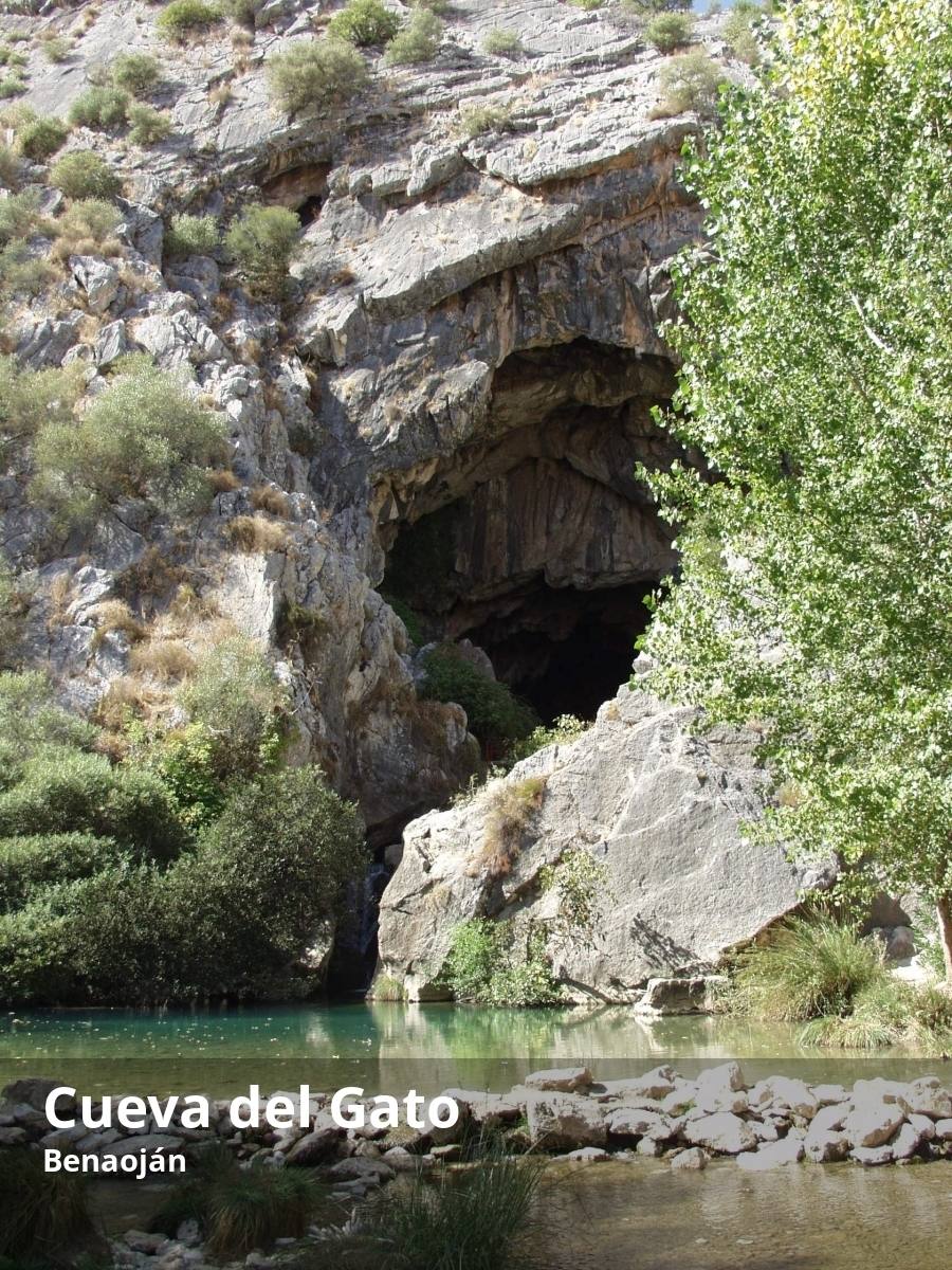 Esta gruta, muy frecuentada por los amantes de la espeleología, es uno de los lugares más emblemáticos de la Serranía de Ronda. No sólo lo es por sus dimensiones sino también porque durante milenios ha servido de refugio natural, desde los primeros pobladores de la zona hasta los bandoleros de los siglos XVIII y XIX. La cavidad ha sido formada por un río subterráneo, el Gaduares, que se une metros más abajo con el curso de Guadiaro. El arroyo tiene un recorrido dentro de la cueva de más de 4 kilómetros. Aunque no se puede entrar en la gruta si no se tiene la autorización previa y el equipamiento necesario, sí se puede contemplar el gran salto de agua y la poza de agua cristalina que deja el río en su entrada. 