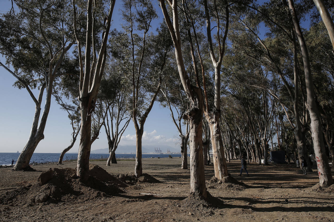 Fotos: El nuevo parque en el antiguo &#039;camping&#039; de los Baños del Carmen, en imágenes