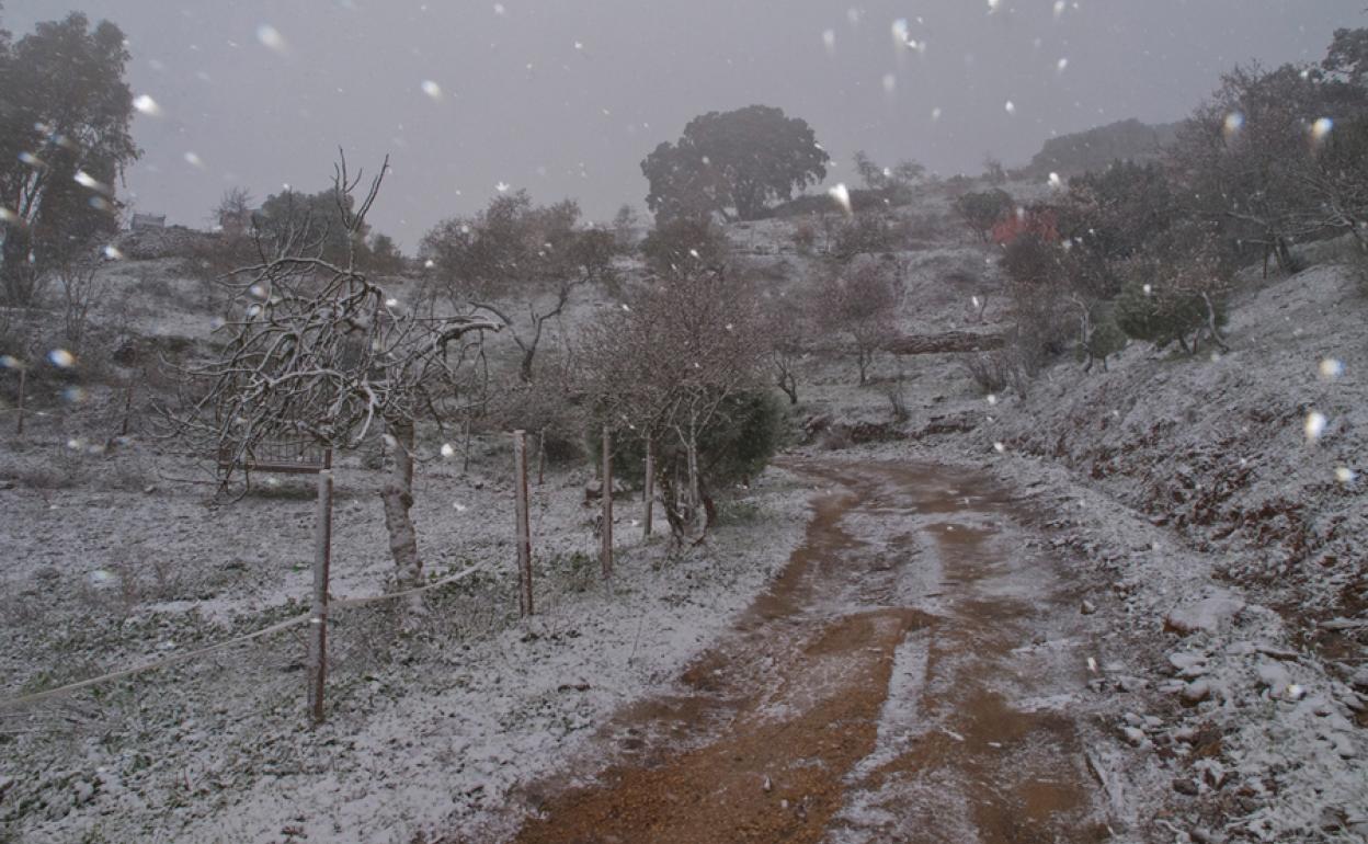 Nevadas en años pasados