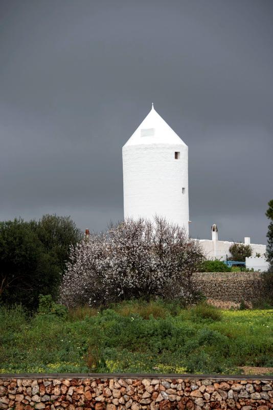 El temporal de lluvia, nieve, viento y olas ha puesto en aviso rojo a la Comunidad Valenciana y las islas Baleares, mientras los avisos naranjas se reparten por una veintena de provincias