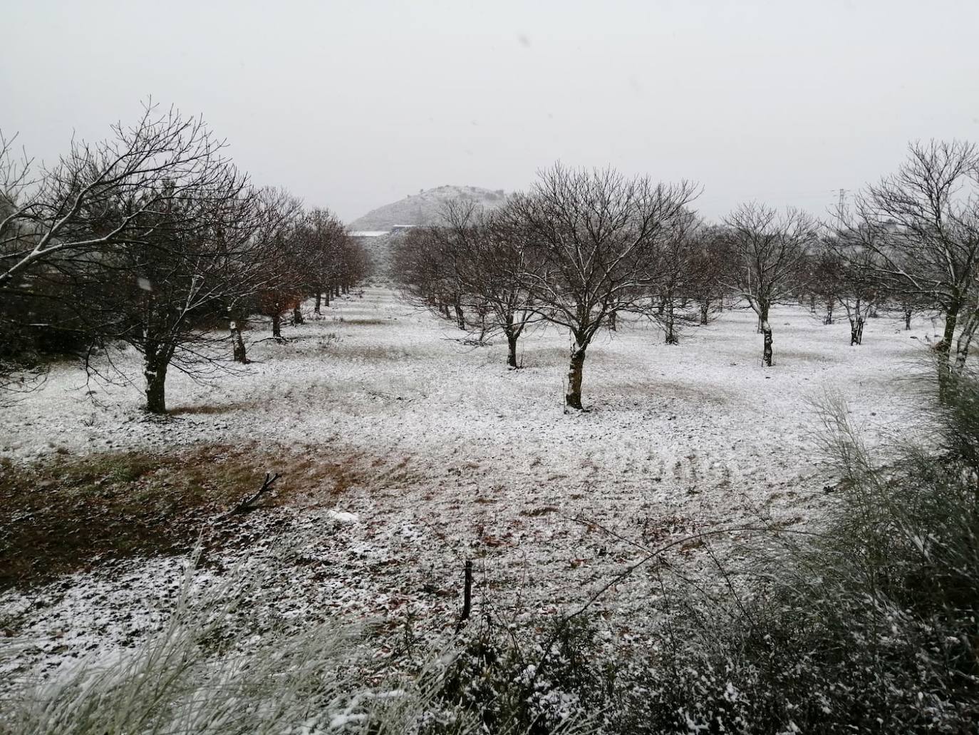 Nieve en la Serranía de Ronda. 