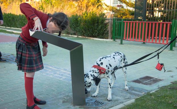 El modelo actual que está instalando Emasa, con surtidor para personas y bebedero para perros. 