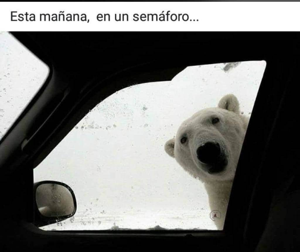 Fotos: La granizada de Málaga, con humor: los &#039;memes&#039; del temporal