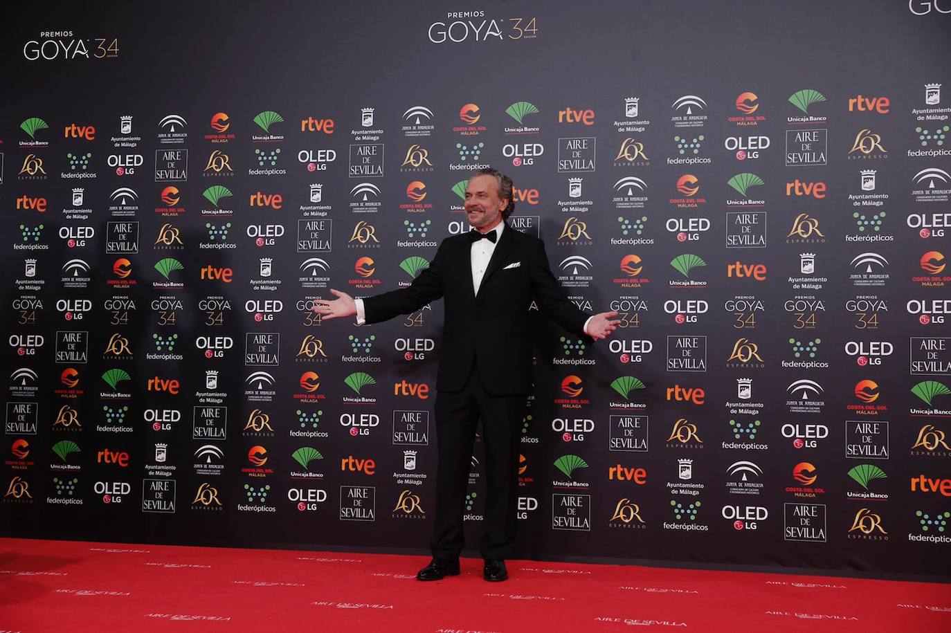 La jornada de los premios Goya que acoge el palacio de los Deportes José María Martín Carpena, en imágenes. 