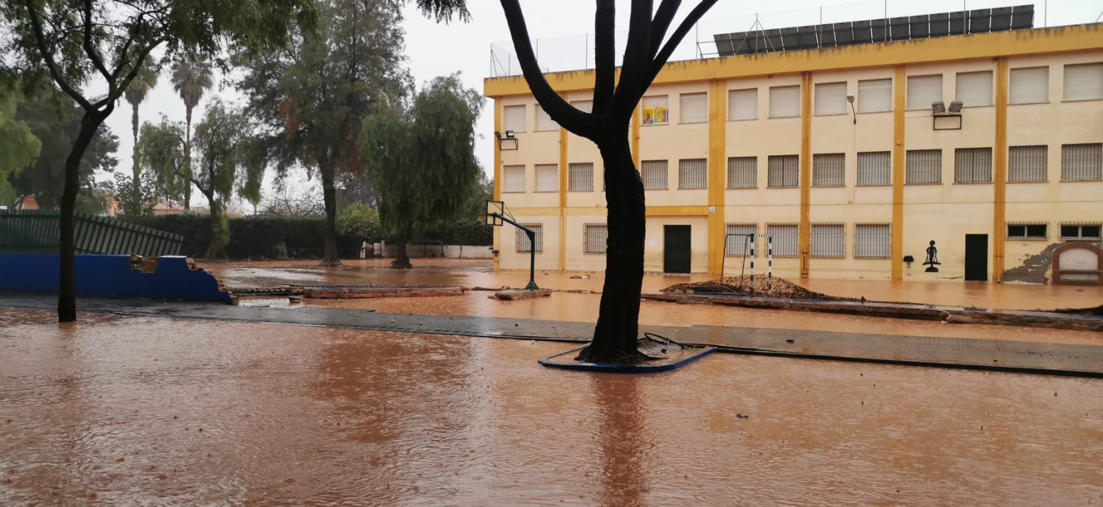 Desde las 0.00 horas está vigente el aviso naranja de Meteorología, que estará activo hasta las 18.00 horas El desbordamiento del río inunda Campanillas y corta los accesos