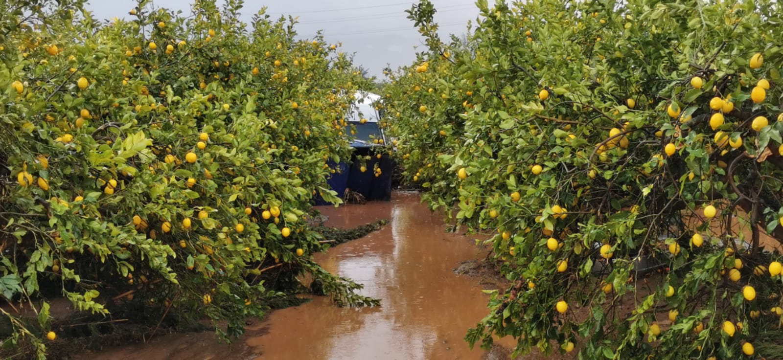 Efectos de las últimas lluvias en Campanillas. En Málaga se mantiene el aviso naranja este sábado.