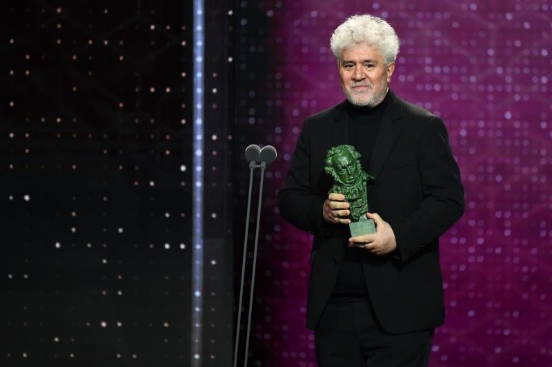 El Goya a mejor guión original es para Pedro Almodóvar por 'Dolor y gloria'.