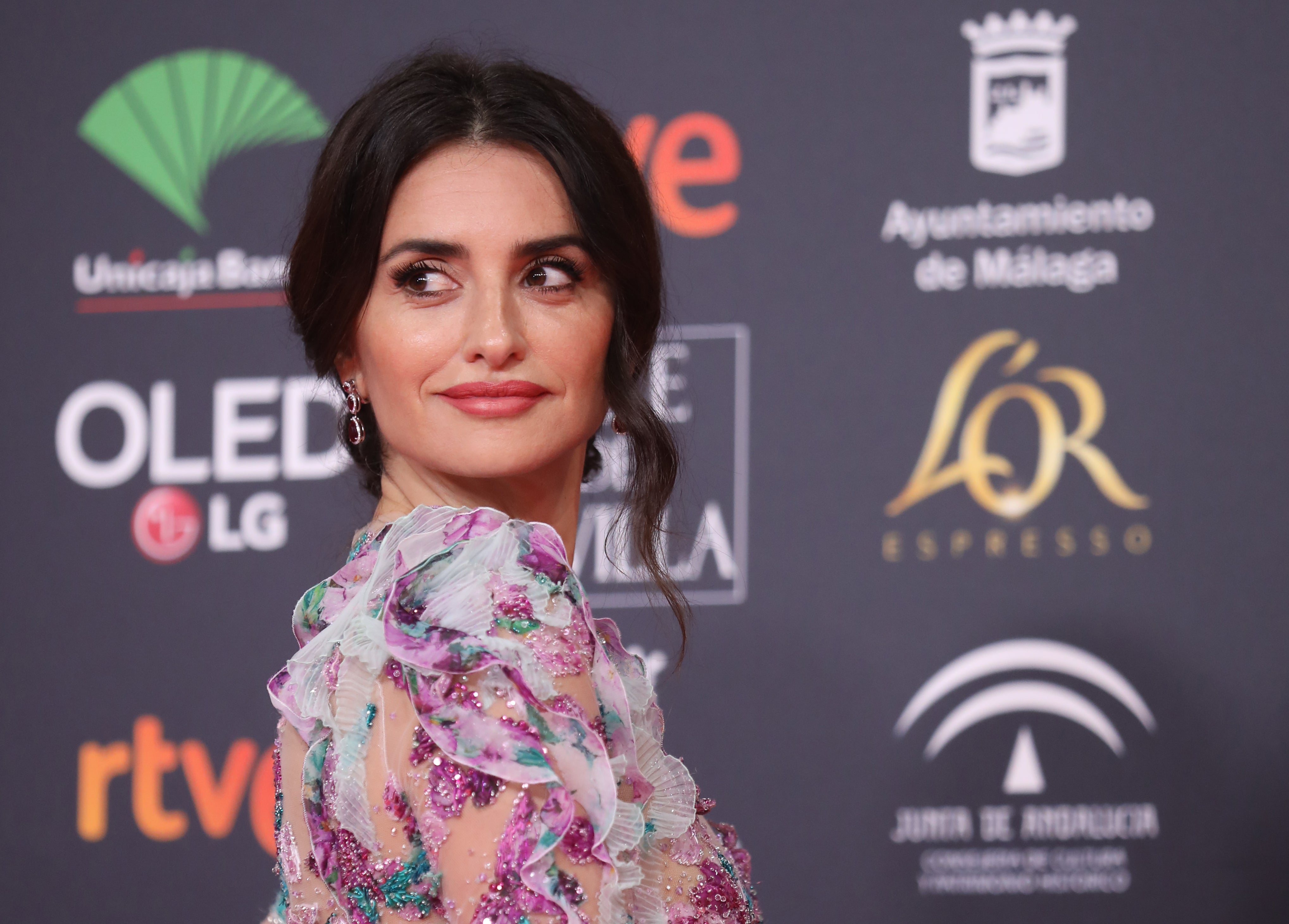 La actriz Penélope Cruz, que acudía nominada a mejos actriz protagonista por 'Dolor y Gloria', recurrió a uno de sus clásicos infalibles: un moño bajo clásico que lució con un mechón suelto para darle un toque romántico y juvenil.