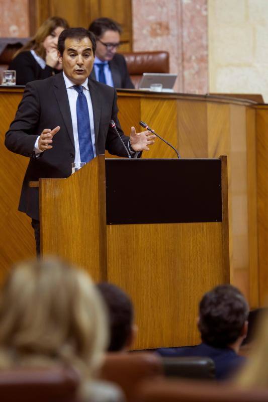 Debate en el Parlamento sobre la situación de Andalucía. 