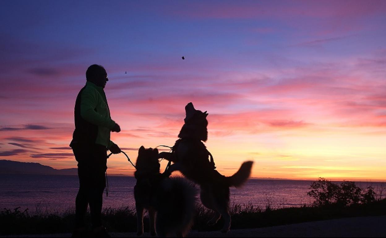 La imagen muestra a Manuel Calvo con sus perros en la Desembocadura del Guadalhorce, donde entrenan para la expedición de Alaska. 