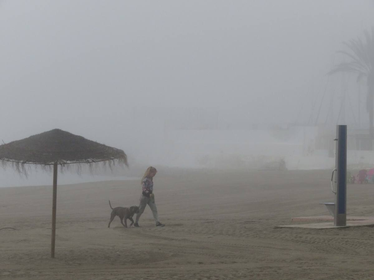 Marbella ha amanecido bajo el manto del taró, una palabra de origen fenicio que se refiere a la también llamada boria, esto es, niebla de advección marítima 