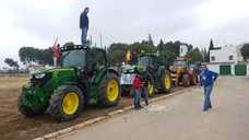 Las manifestaciones de agricultores y ganaderos que están recorriendo España desde el pasado mes de enero para protestar contra los bajos precios del aceite de oliva y de los productos hortofrutícolas han llegado a la provincia con una gran tractorada en el municipio de Antequera.