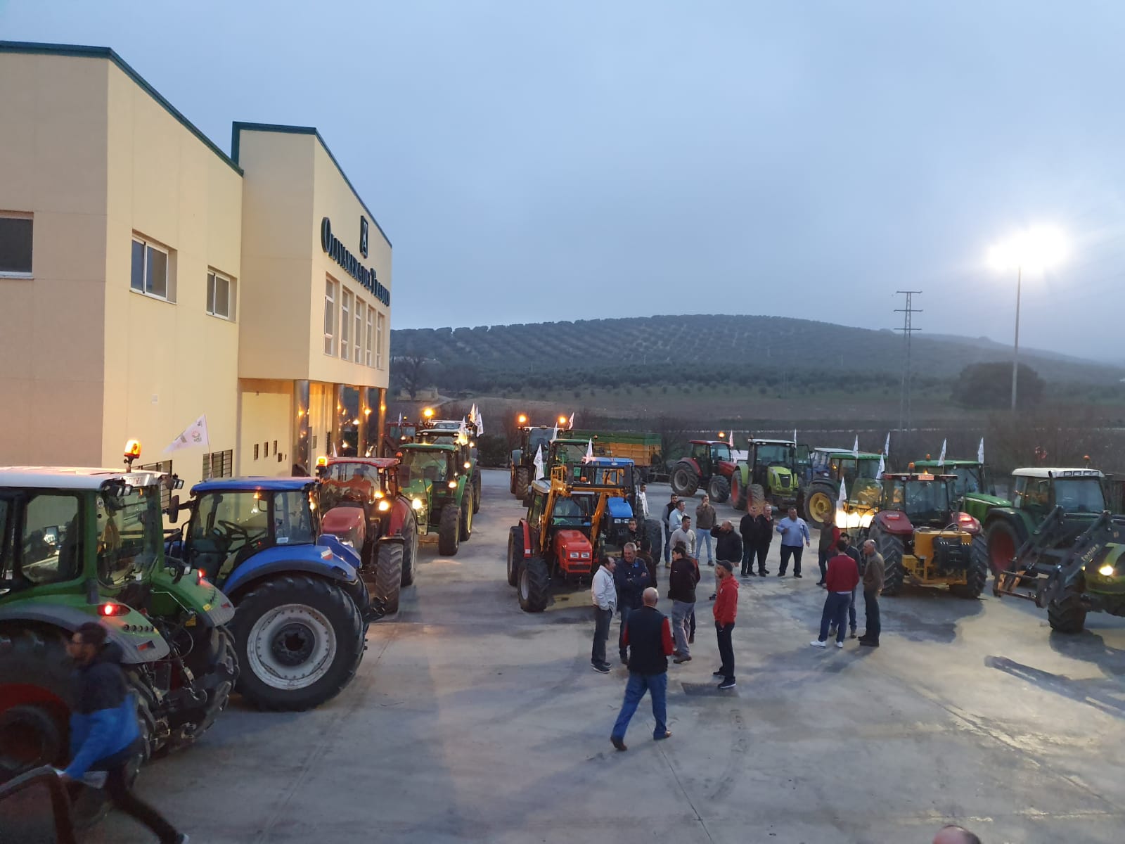 Las manifestaciones de agricultores y ganaderos que están recorriendo España desde el pasado mes de enero para protestar contra los bajos precios del aceite de oliva y de los productos hortofrutícolas han llegado a la provincia con una gran tractorada en el municipio de Antequera.