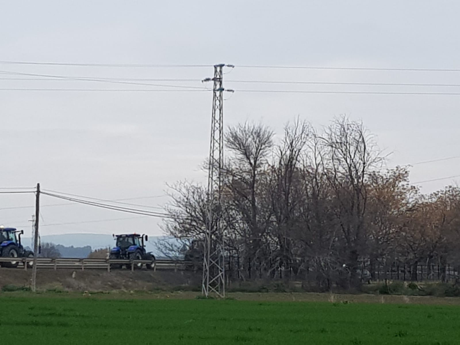 Las manifestaciones de agricultores y ganaderos que están recorriendo España desde el pasado mes de enero para protestar contra los bajos precios del aceite de oliva y de los productos hortofrutícolas han llegado a la provincia con una gran tractorada en el municipio de Antequera.