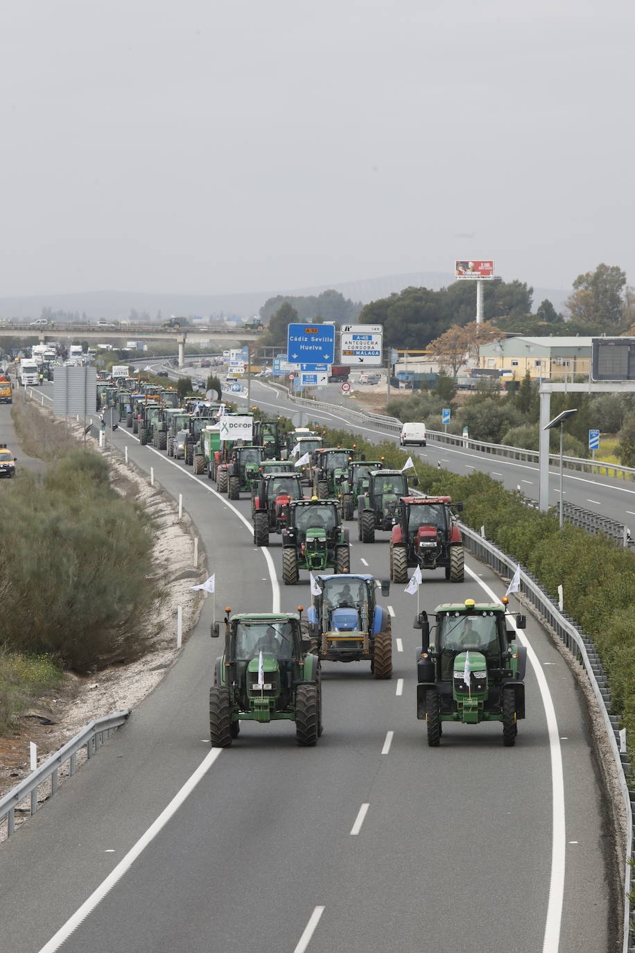 Las manifestaciones de agricultores y ganaderos que están recorriendo España desde el pasado mes de enero para protestar contra los bajos precios del aceite de oliva y de los productos hortofrutícolas han llegado a la provincia con una gran tractorada en el municipio de Antequera.