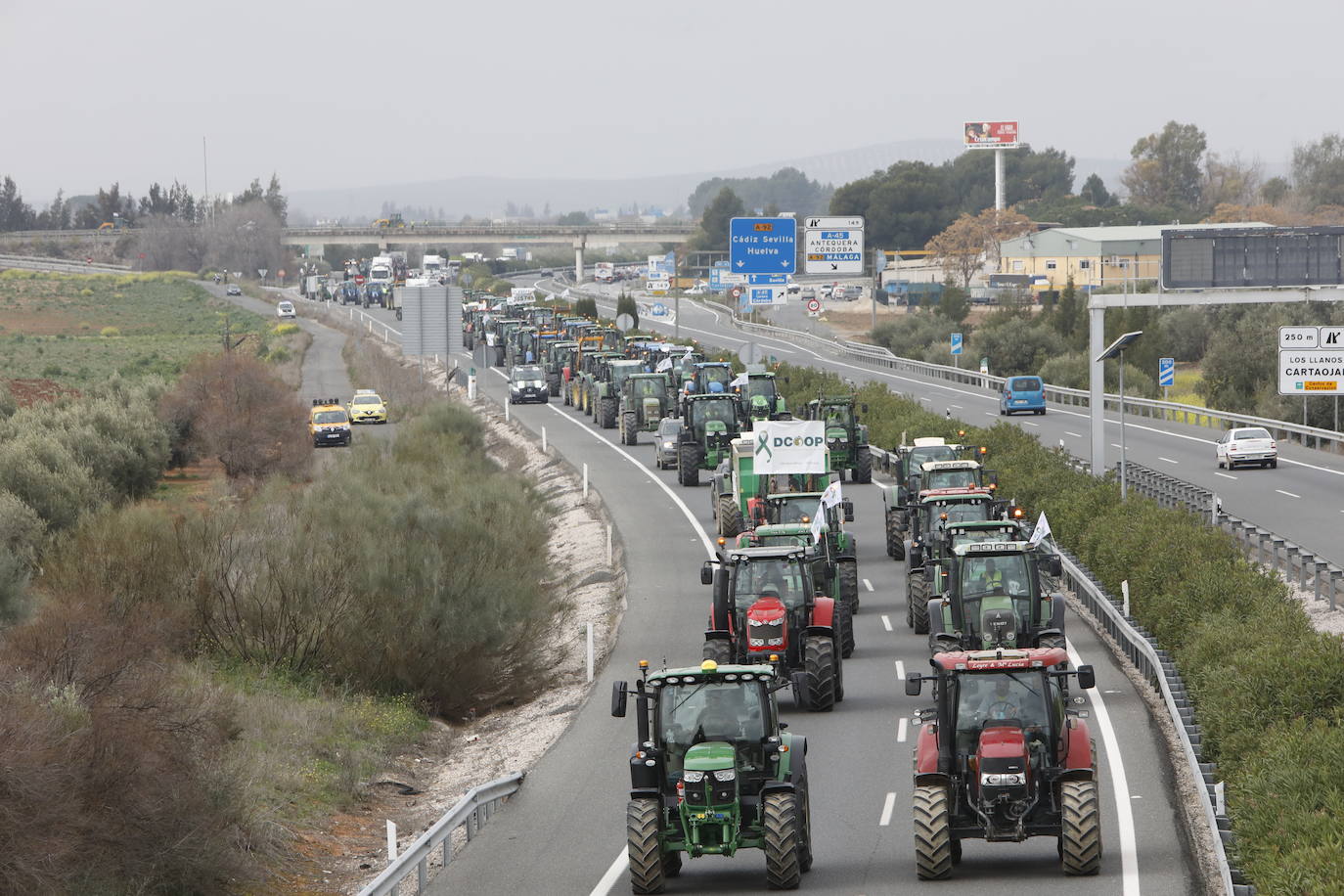 Las manifestaciones de agricultores y ganaderos que están recorriendo España desde el pasado mes de enero para protestar contra los bajos precios del aceite de oliva y de los productos hortofrutícolas han llegado a la provincia con una gran tractorada en el municipio de Antequera.